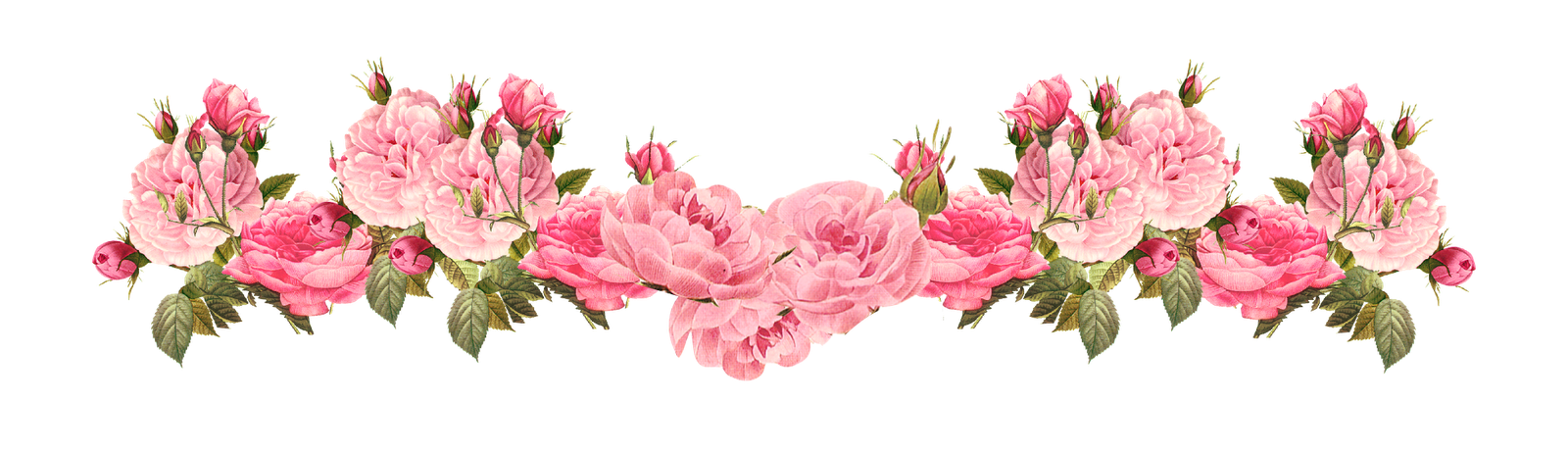 decorative rose border